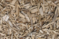 biomass boilers Rye Foreign